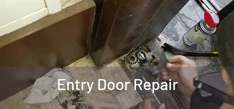 Entry Door Repair